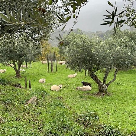 Quinta Da Moita Agroturismo Tabuaço Extérieur photo